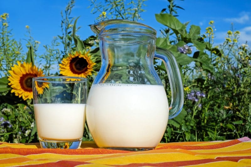 Vitamin D - Sunshine and Milk