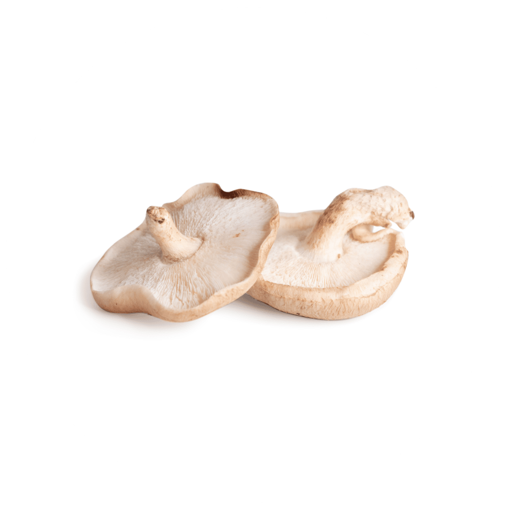 Royal Sun Mushroom & Shiitake